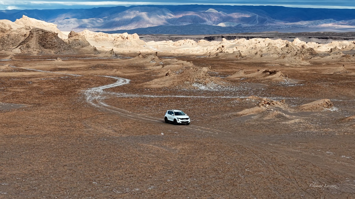 La conservación de las especies en el desierto