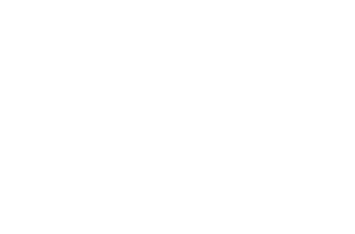 Leddy Adventure